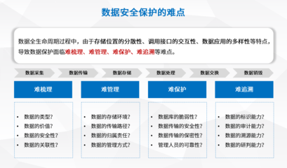 数据流转新守护 盛邦安全发布全生命周期安全服务